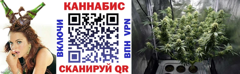 Бошки марихуана ГИДРОПОН  сайты даркнета состав  Великий Устюг  дарнет шоп  МЕГА вход 